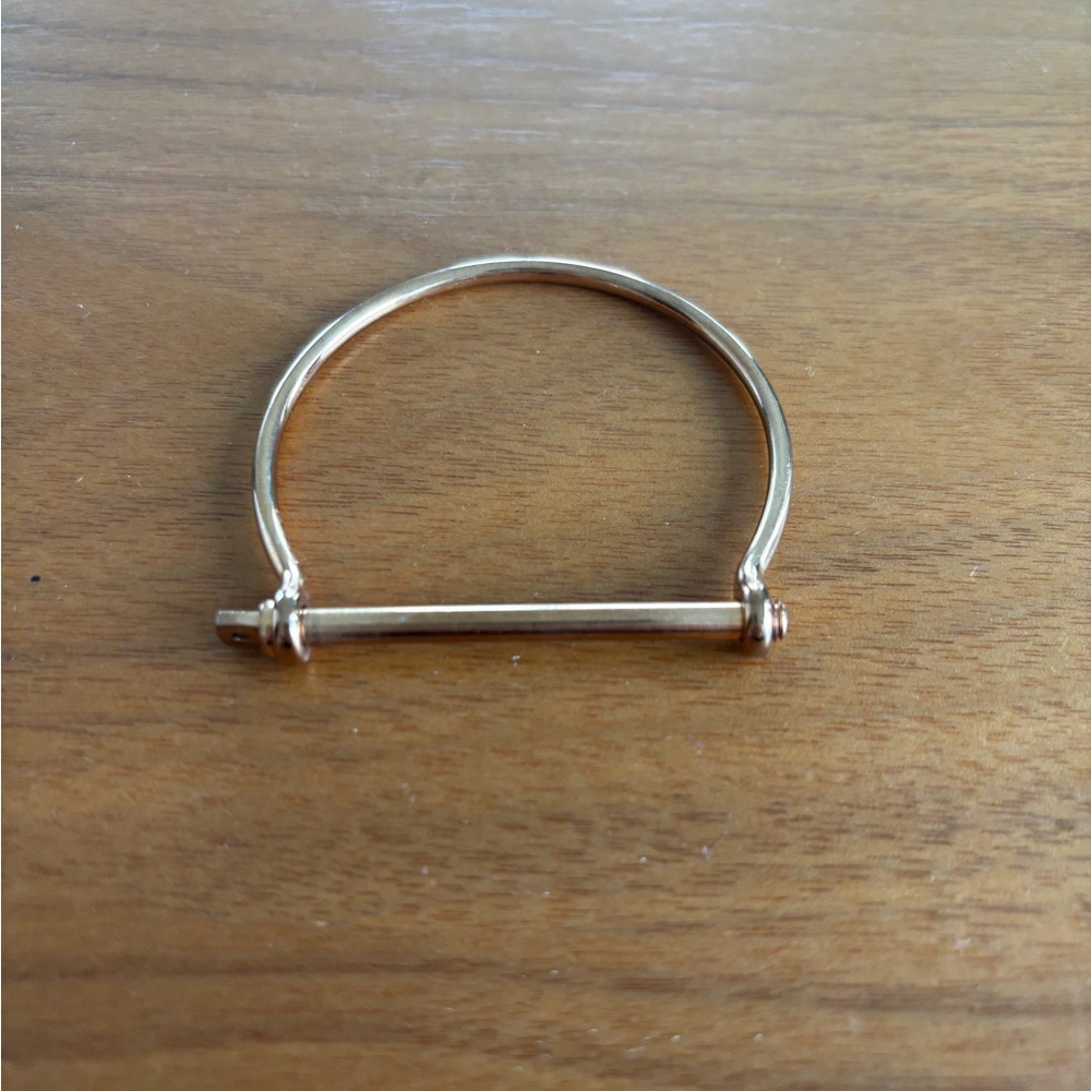 Rose gold Miansai Bangle Bracelet